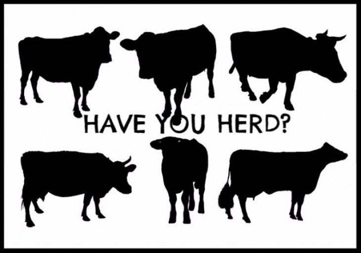 Have you herd?