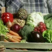 CSA Shares - Fruits & Veggies
